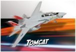 Revell 1/100 Grumman F-14A Tomcat # 06450