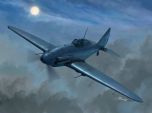 Sword 1/48 Reggiane Re.2001CN Night Fighter # 48013