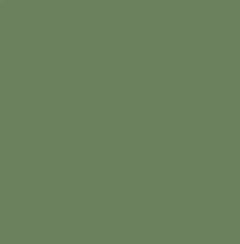 Mr Color 10ml Aircraft Gray Green BS283 # 364