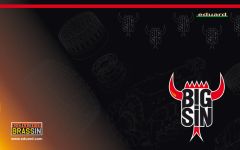 Eduard BIGSIN 1/48 - Spitfire Mk. Vb (AIR05125) # SIN64818