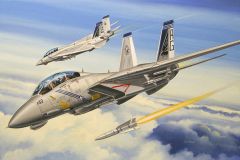 HobbyBoss 1/72 F-14b Tomcat # 80277 - Plastic Model Kit