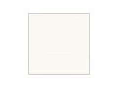 Mr Hobby / Gunze Sangyo 10ml Aqueous Colour Off White Gloss # 21