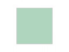 Mr Hobby / Gunze Sangyo 10ml Aqueous Colour Pale Green # 41