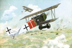 Roden 1/48 Fokker D.VII Alb (late) # 424 - Plastic Model Kit