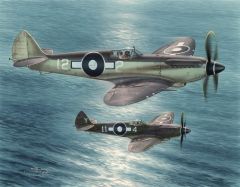 Special Hobby 1/48 Supermarine Seafire F Mk.XV Far East Service' # 48116