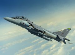 Sword 1/72 BAe Harrier T.10/12 # 72099