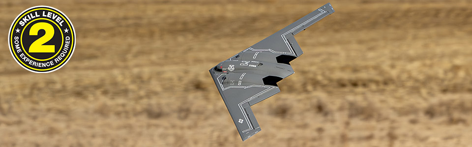 E-flite Micro B-2 Spirit of America Twin RC Airplane Skill Level 2 &ndash; Some Experience Required