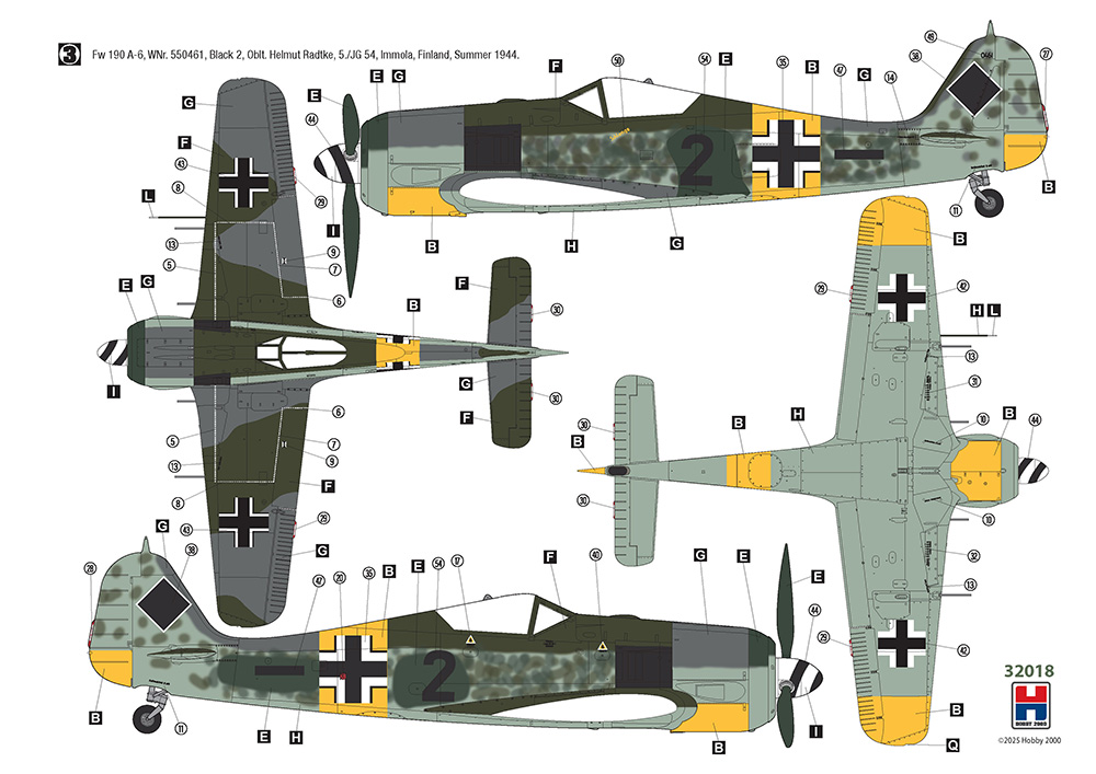 Hobby 2000 1/32 Focke-Wulf Fw-190A-6 Eastern Front Hasegawa + Cartograf + Masks # 