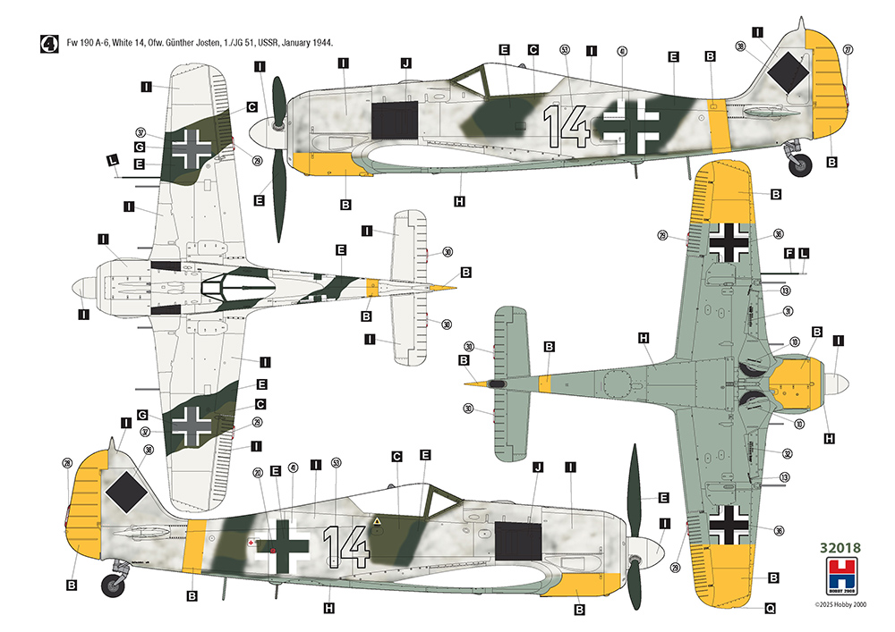 Hobby 2000 1/32 Focke-Wulf Fw-190A-6 Eastern Front Hasegawa + Cartograf + Masks # 