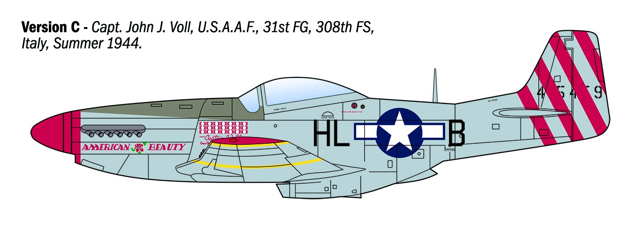 Italeri 1/72 P-51D Mustang Aces # 1484