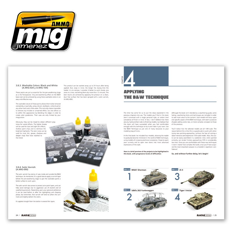 Ammo by Mig Jimenez Black & White Technique # 6016